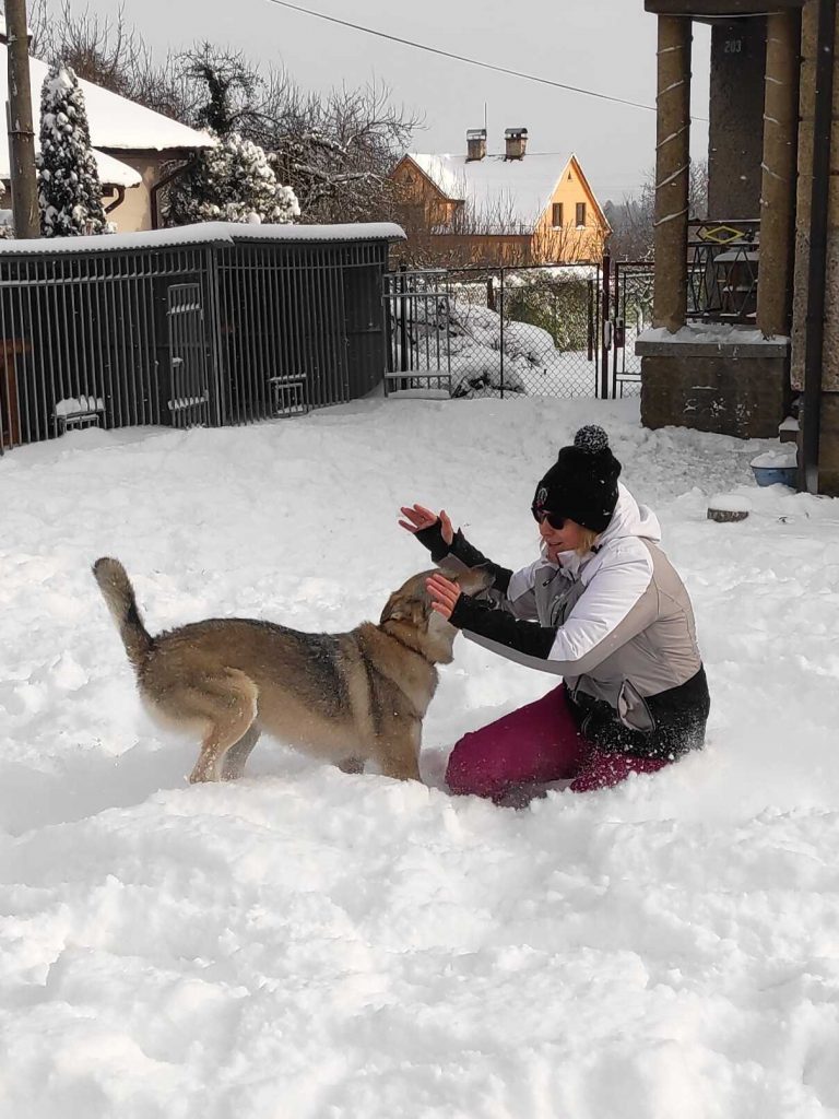 Žena si se svou fenkou československého vlčáka hraje ve sněhu.
