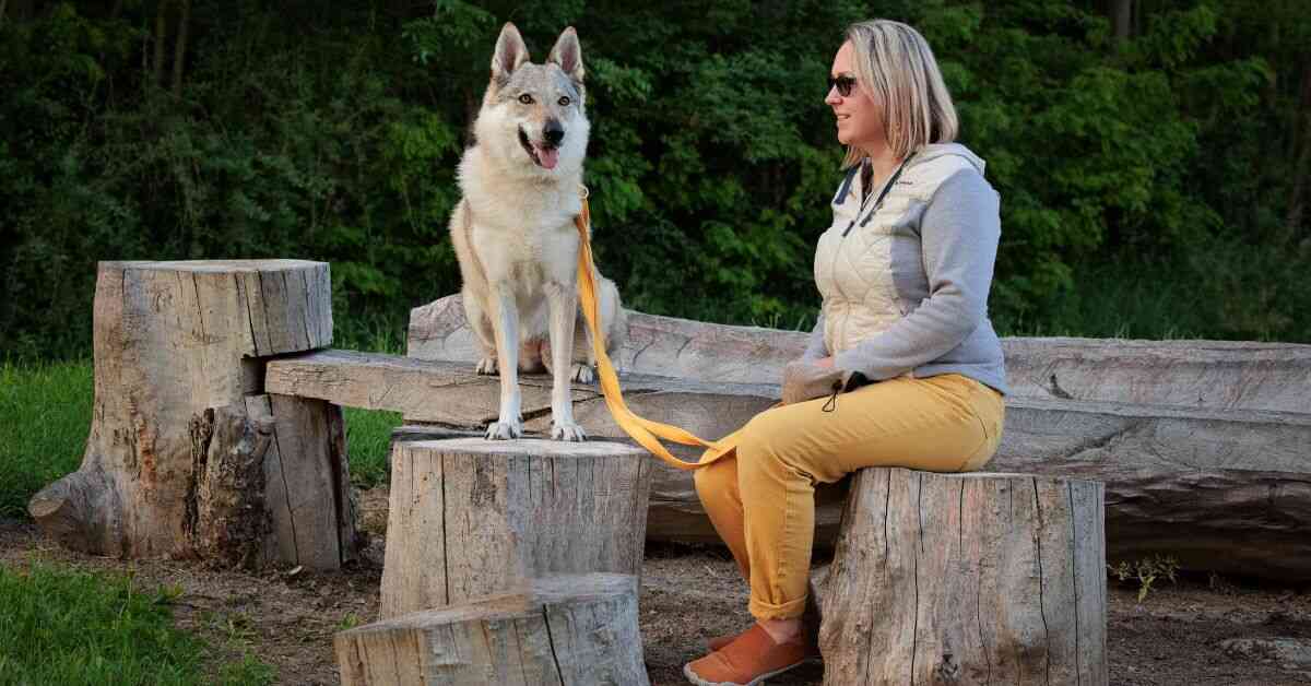 Žena sedí se svou fenkou československého vlčáka venku na dřevěných špalcích.