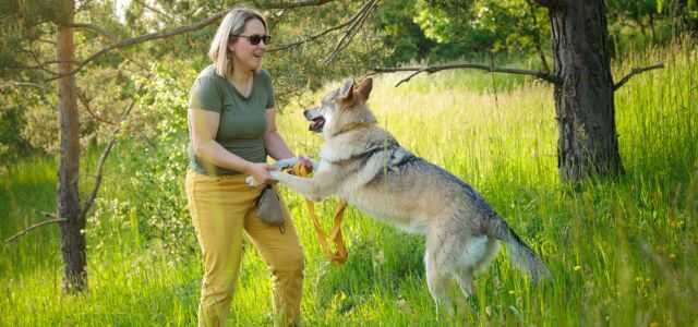 Žena skotačí na louce se svým psem