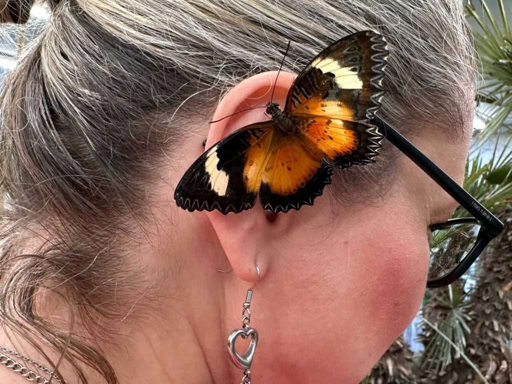 Žena, které na uchu sedí krásný motýl