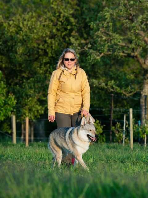 Žena při procházce se svou fenkou československého vlčáka na louce.