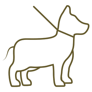 Obrysová kresba psa na vodítku.