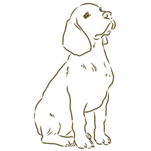 Obrysová malba psa